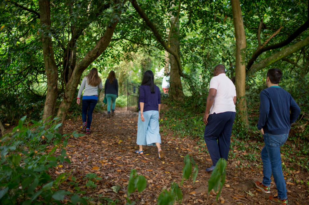 Access to the Woodlands
