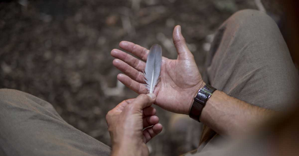 Image of man's hand holding feather gently to symbolise compassion, illustrating Sharpham Trust's Dharma Pathway meditation retreats