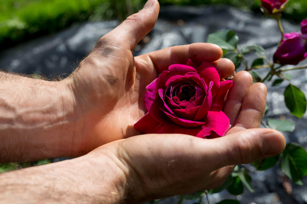 Sharpham Trust Support Us