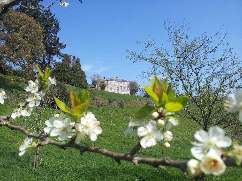 Sharpham House in Spring