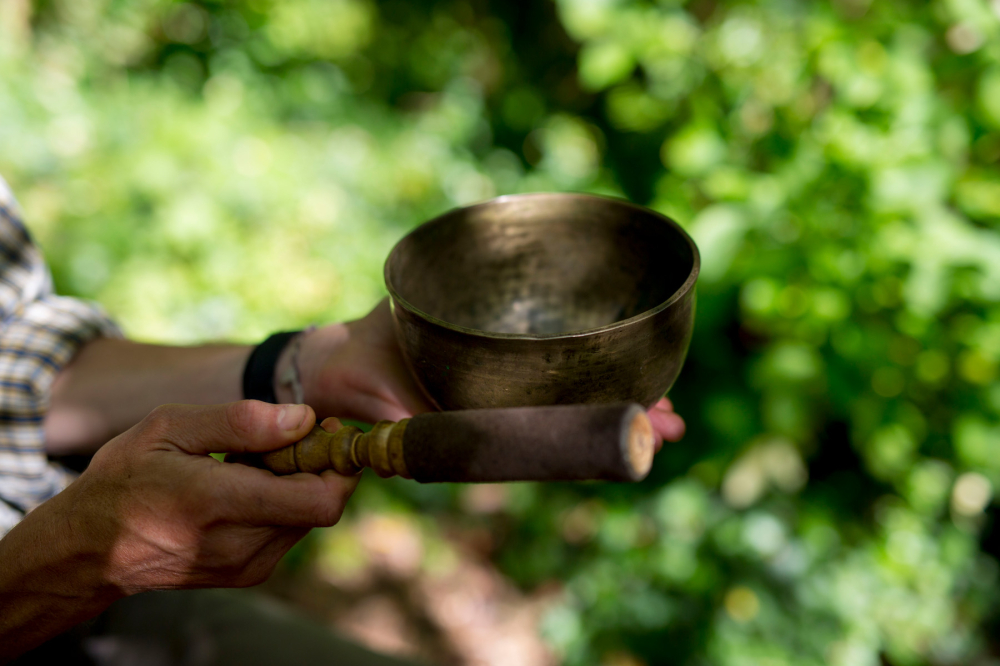 Mindful in Nature - a course to aid your mental health recovery