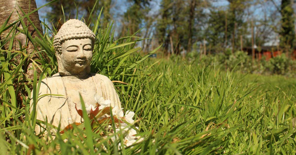 Buddha in the gardens at The Barn for our Buddhism for Beginners retreat