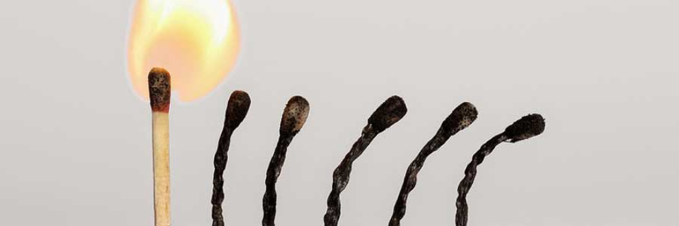 Burn out retreat at Sharpham House