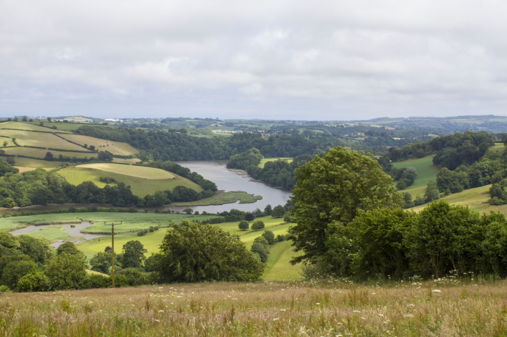 sharpham meadow natural
