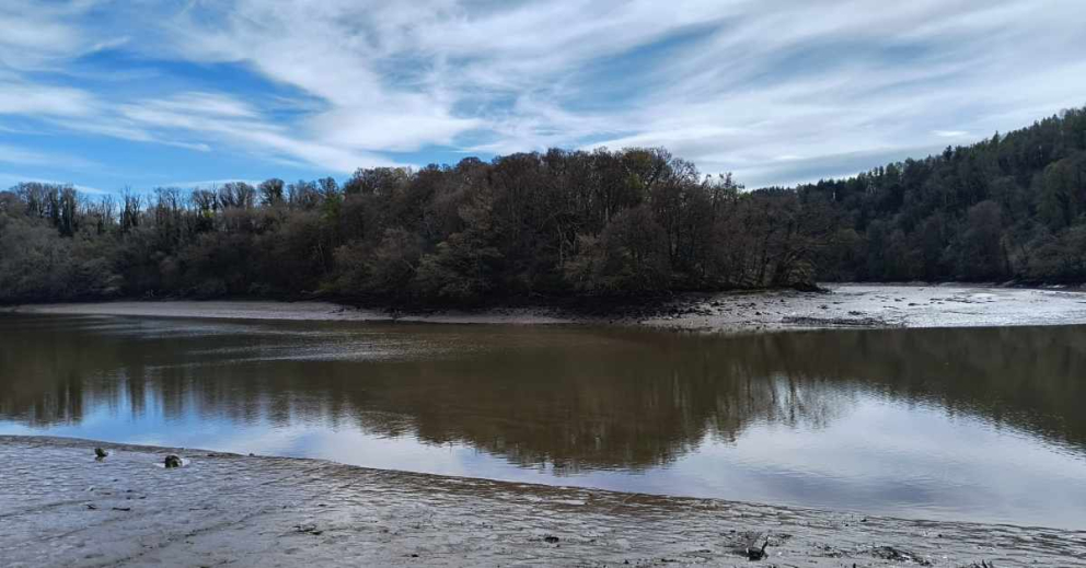Ham Point and its woodland have been purchased by The Sharpham Trust so that they can be protected and conserved in perpetuity