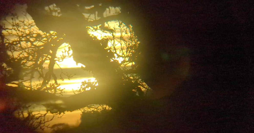 Sunlight on film