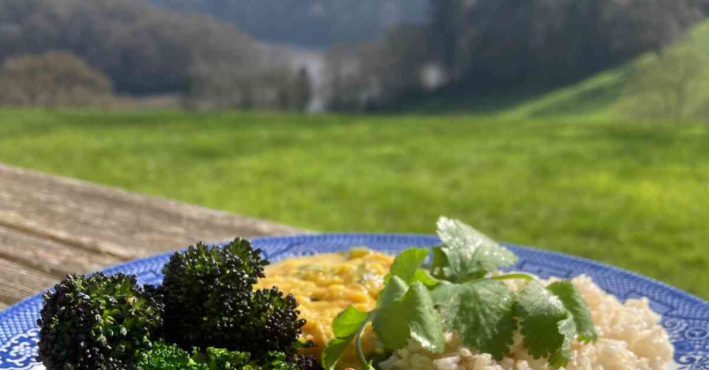 Simple dal with kale from Sharpham's gardens - by Sybille Pouzet