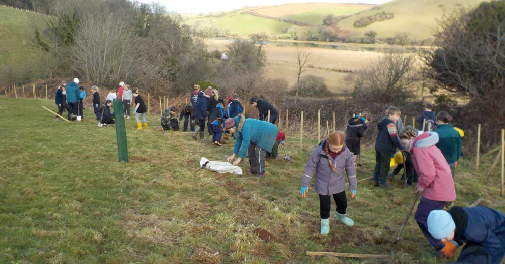 Grove School children plant trees at The Sharpham Estate