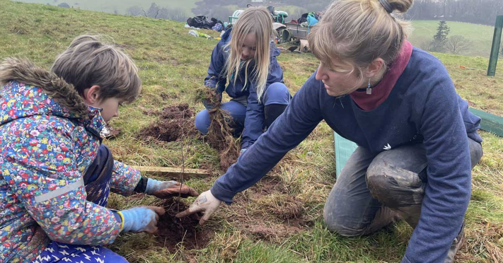Grove School children plant trees at The Sharpham Estate
