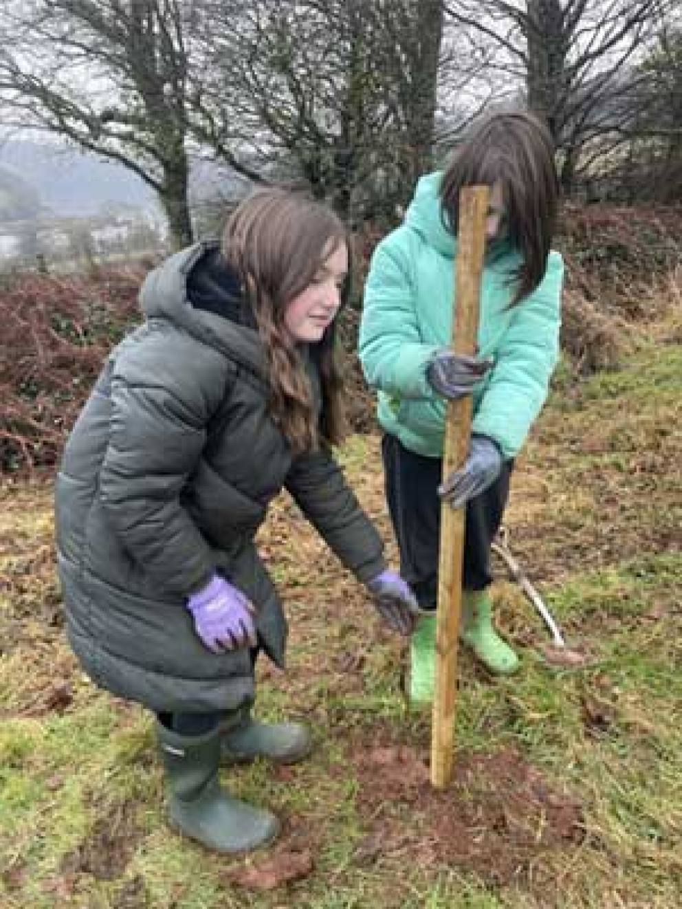 Grove School children plant trees at The Sharpham Estate