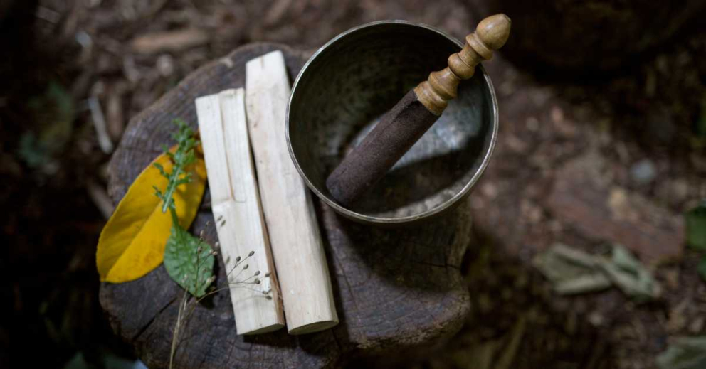 Be mindful in nature on retreats at The Sharpham Trust