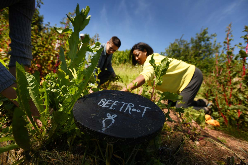 Mindfully gardening at The Barn at The Sharpham Trust mindfulness retreat centre