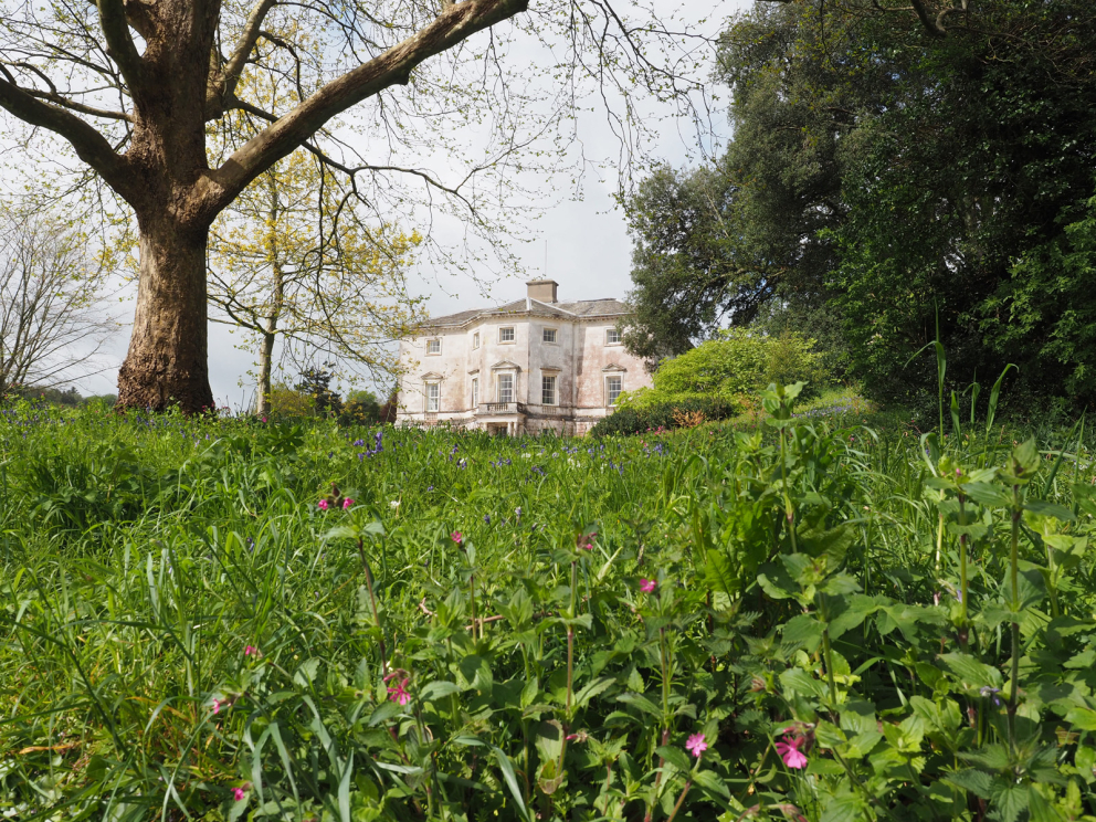 Sharpham House in Spring
